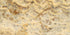 Scabos 12" X 24" Tile - (Cross-cut) Filled & Honed